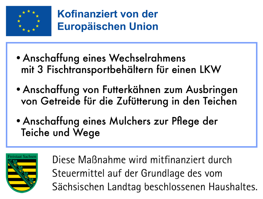 Kofinanziert von der Europischen Union